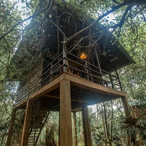Hotel On The Tree Eco Sigiriya Kibissa